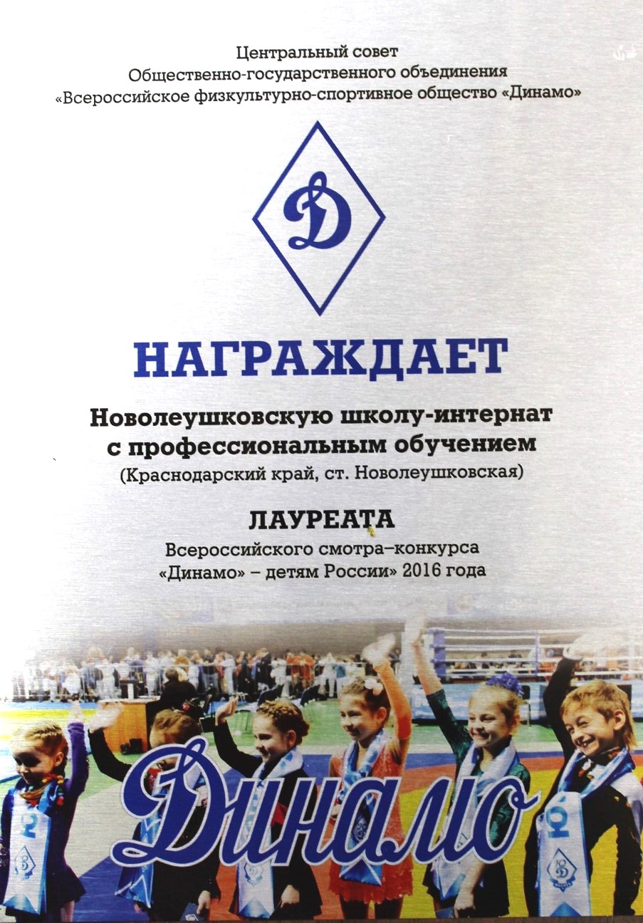 dinamo2